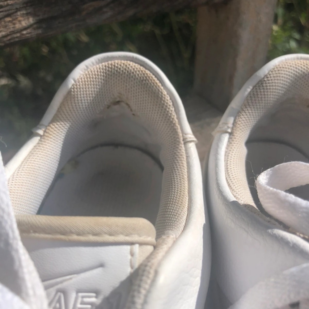 Air Force One’s Nike Sage
